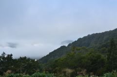 朝霧