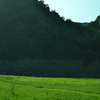 緑化公園。