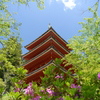 P1000825
