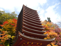 P1000464