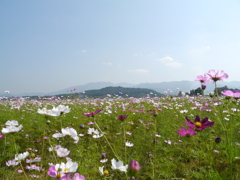 P1000436