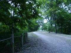 P1000120