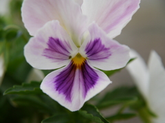 P1000150