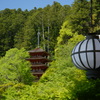 P1000800