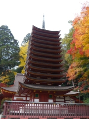 P1000454