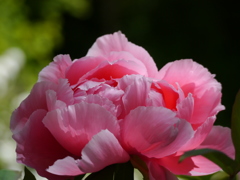 P1000851
