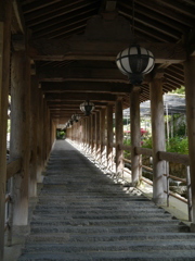 P1000782