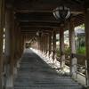 P1000782