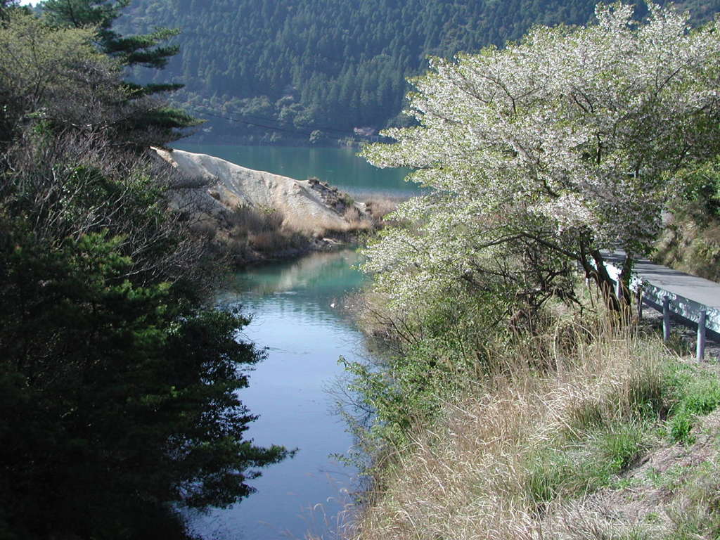 雲仙‐山桜の咲く頃