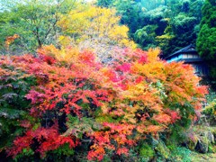 art of autumn -2