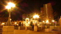 In The Ligth...