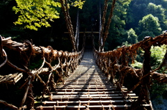 kazura bashi