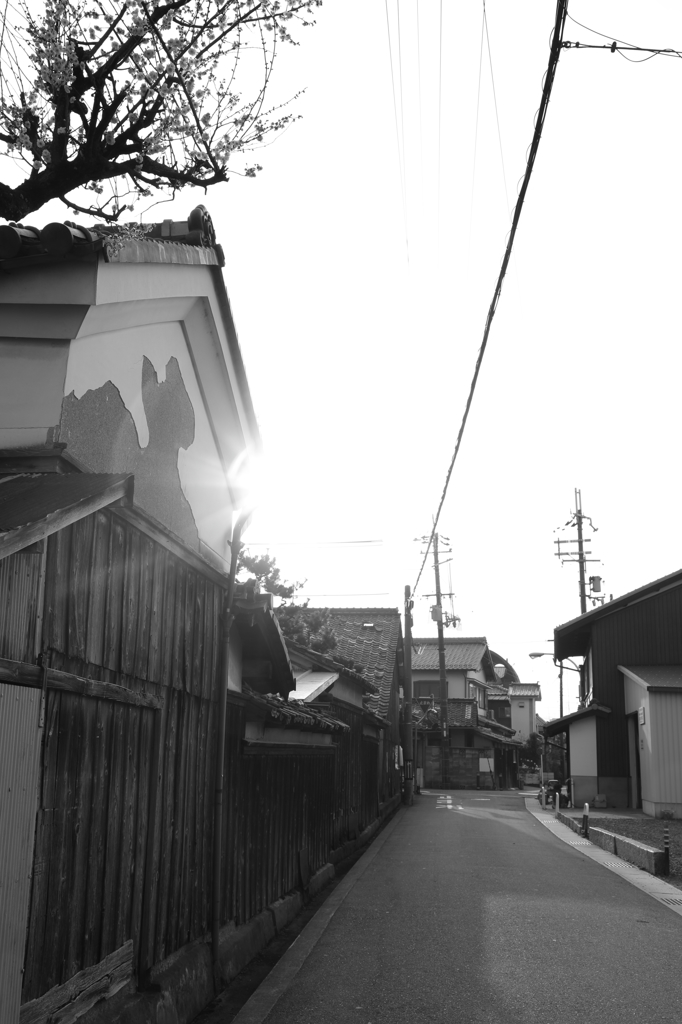 ＫＡＭＥＯＫＡ4