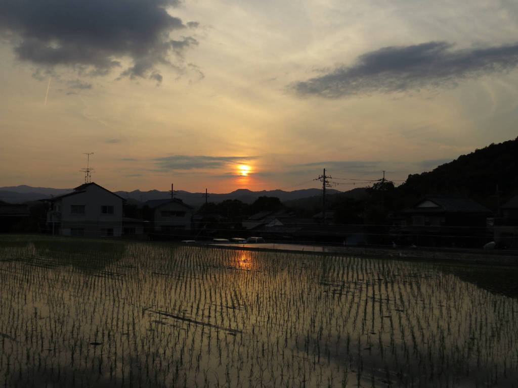 京の郊外にて