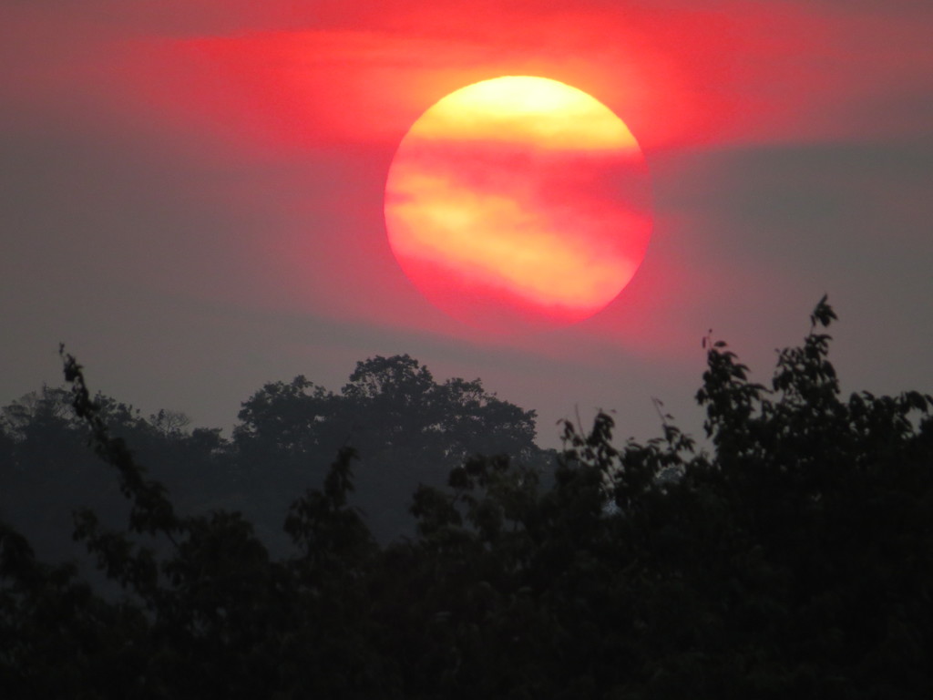 グラデーションの夕日