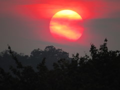 グラデーションの夕日