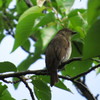 IMG_2661