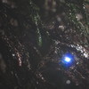 青い眩しさ