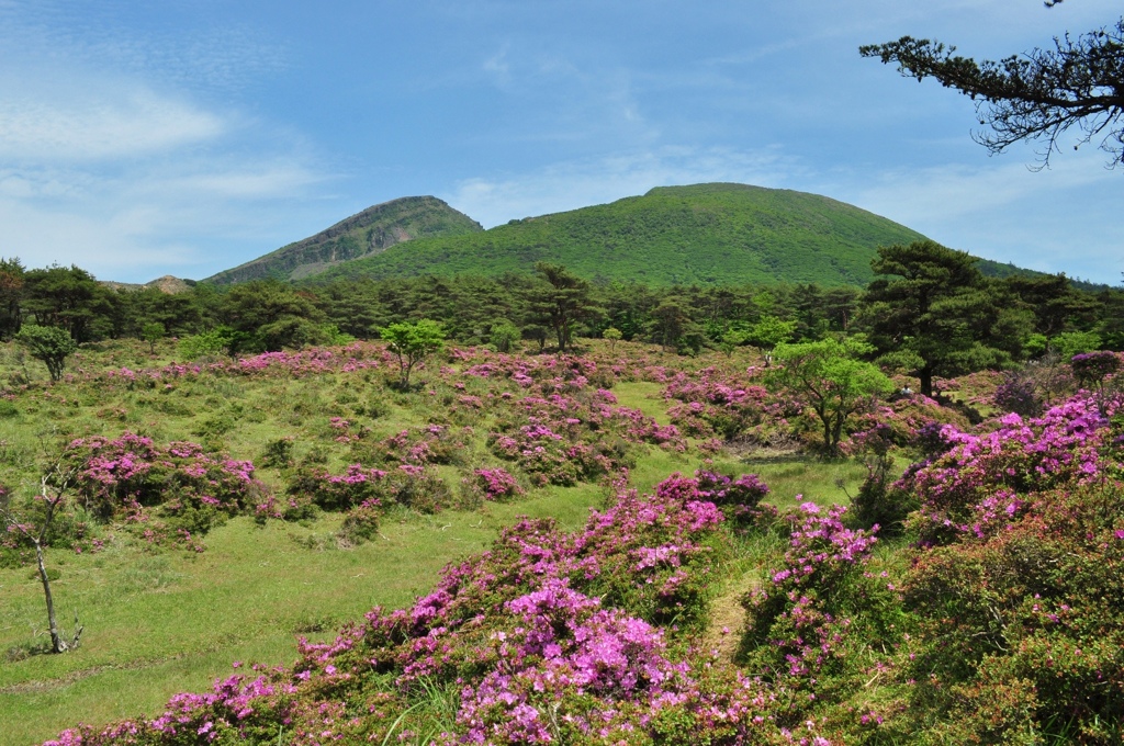 標高１２００ｍの楽園♪