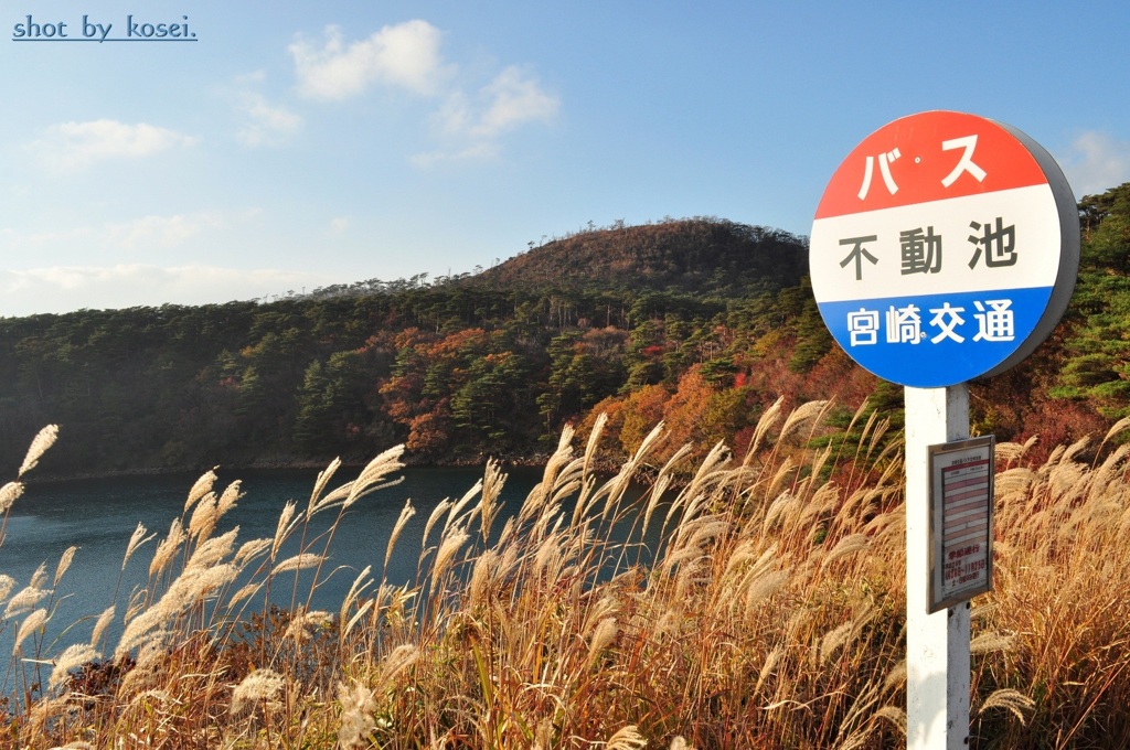 秋の霧島・不動池♪