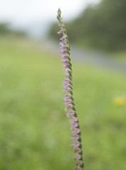 P1000661