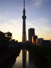 Sky Tree