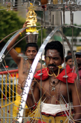 Thaipusam Festival