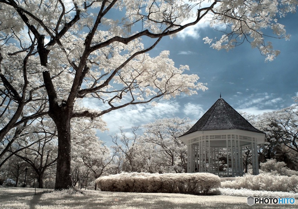 Band Stand In Infrared