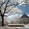 Band Stand In Infrared