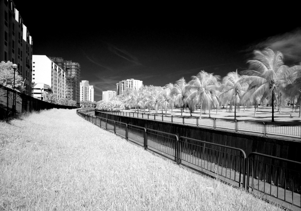 Park