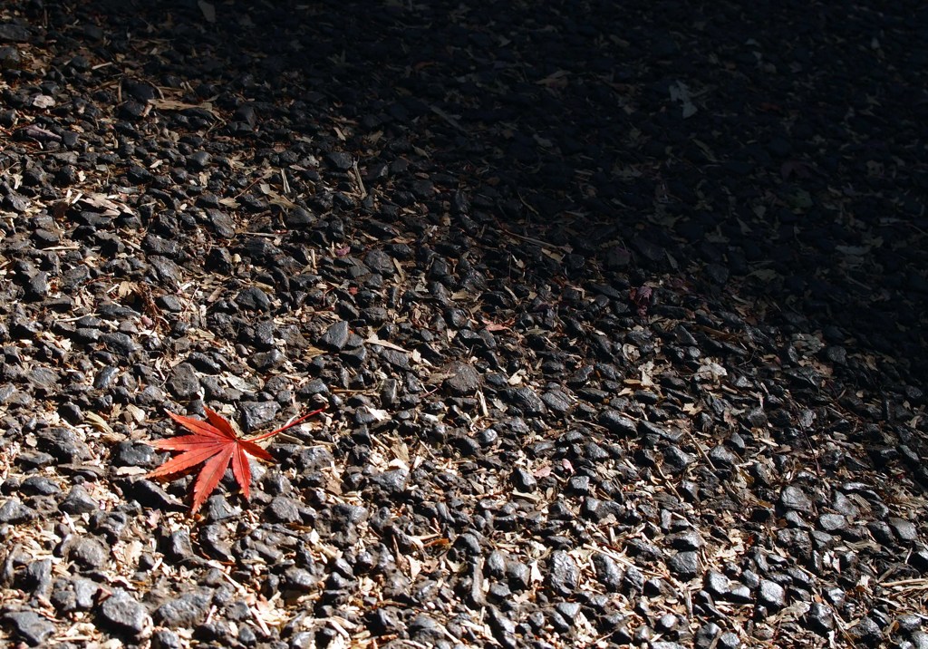 Fall