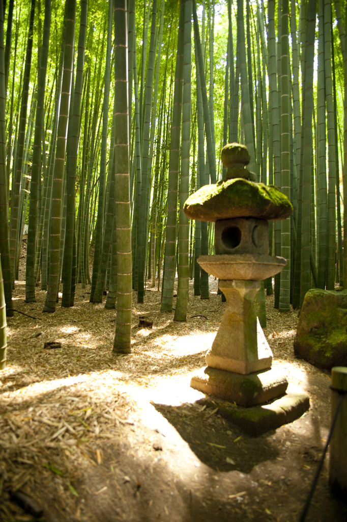 鎌倉　報国寺