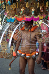 Thaipusam Festival