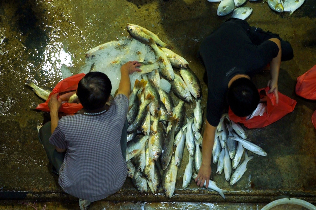 Jurong Fishery Port