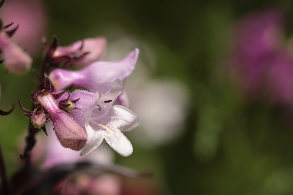 初夏の陽を浴びて