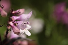 初夏の陽を浴びて