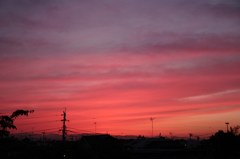 染まり ミルフィーユ