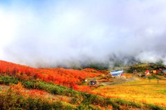 八方尾根黒菱林道方面の紅葉