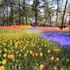 ひたち海浜公園