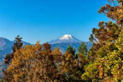 景信山から富士山