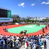 船橋競馬場パドック