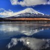 山中湖と白鳥と富士山