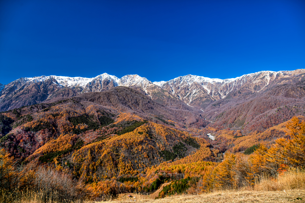 白馬岩岳マウンテンリゾート