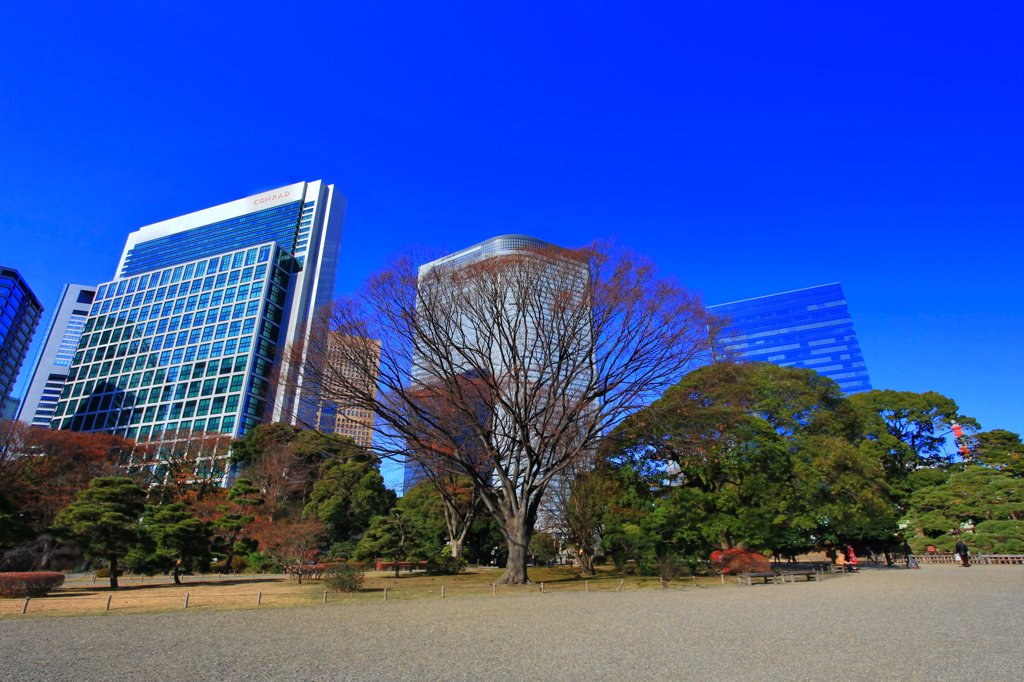 浜離宮