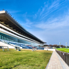 中山競馬場