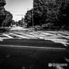 Crossing♪