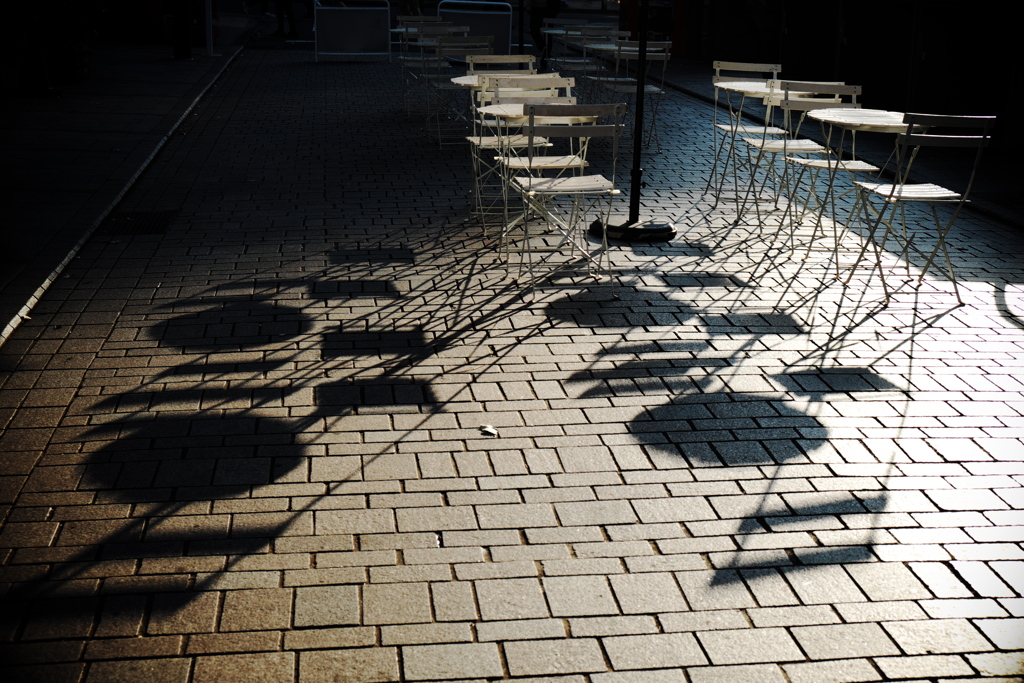 Shadow of autumn♪
