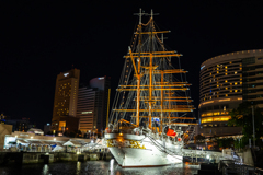 Sail Training Ship NIPPON MARU♪