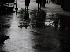 雨の水溜まり