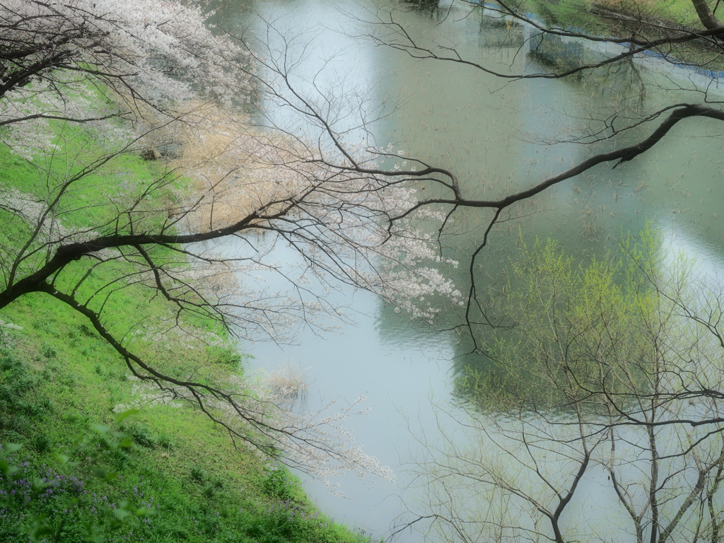 春のささやき～Whisper of spring♪